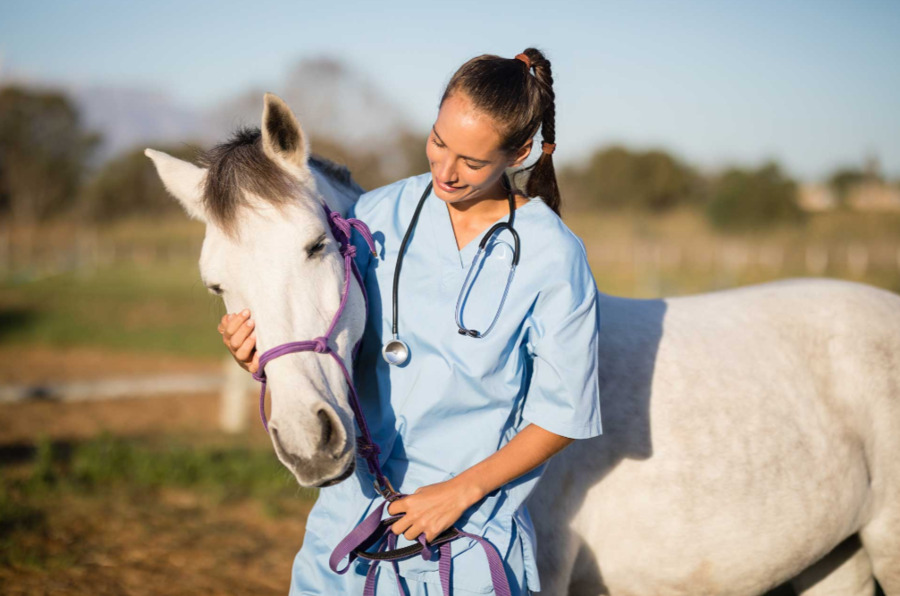 The Essential Duo for Equine Health: Vitamin E and Selenium